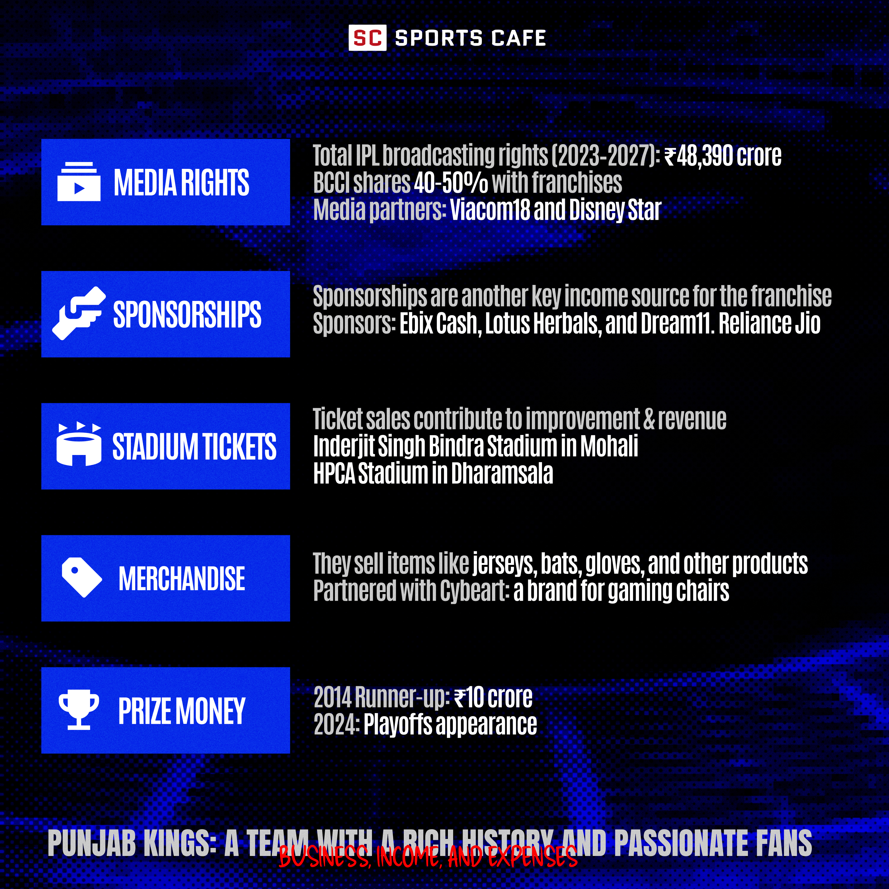 Business Operations and Revenue of Punjab Kings.